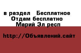  в раздел : Бесплатное » Отдам бесплатно . Марий Эл респ.